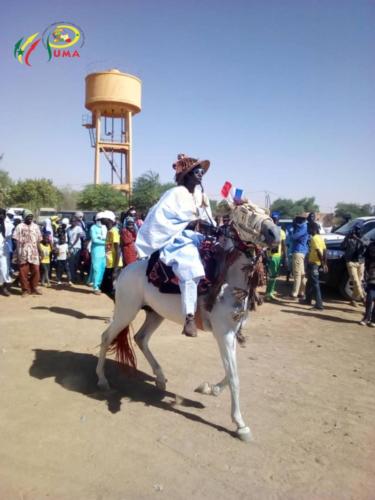 Pumasenegal-casedestout-petits -photo (15)