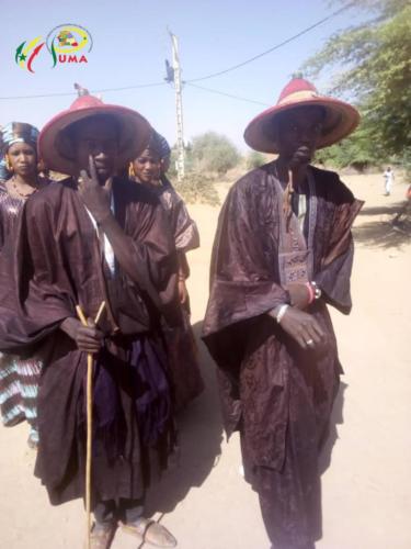 Pumasenegal-casedestout-petits -photo (18)