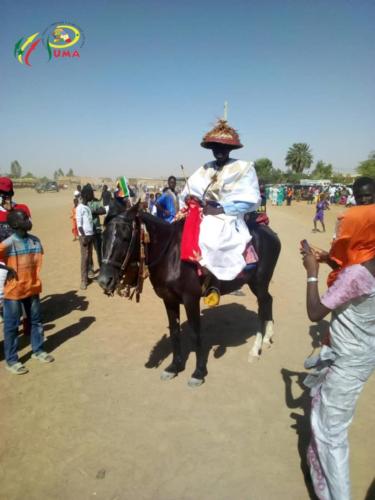 Pumasenegal-casedestout-petits -photo (7)