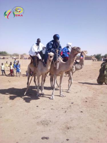 Pumasenegal-casedestout-petits -photo (8)